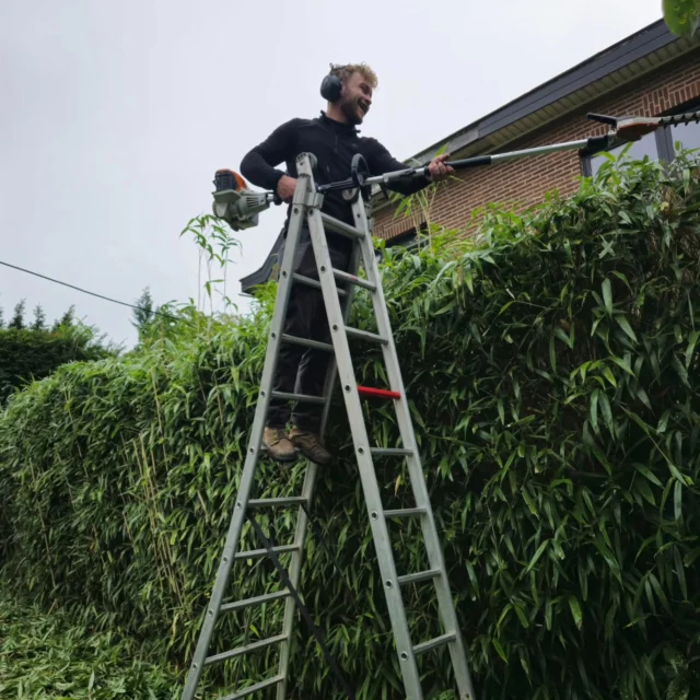 🌿 Des jardins créés et entretenus avec passion et écoresponsabilité.
Chez Plant Your Mood, chaque plante que nous intégrons dans vos espaces proviennent soit de notre pépinière en agroécologie soit de partenaires artisans pépinièriste comme nous à Bruxelles.💚 Aucune plante issue de fournisseurs industriels : nous cultivons nos végétaux localement, dans le respect du vivant.
🌱 Une expertise en agroécologie : nous sélectionnons des essences adaptées à votre sol et à votre environnement pour un jardin naturellement résilient.
🌍 Un engagement écoresponsable : toutes nos plantations sont pensées pour favoriser la biodiversité et limiter l’empreinte écologique.🔹 Nos services :
✅ Conception & aménagement → Création de jardins vivants et esthétiques
✅ Entretien professionnel → Taille, désherbage, fertilisation naturelle
✅ Taille & élagage → Préservation de la structure et de la vitalité des arbres
✅ Plantation → Nos propres plantes cultivées en agroécologie à Bruxelles
✅ Pelouse → Création et soin de gazons naturels et durables
✅ Potagers & vergers → Fruits et légumes issus de notre production locale
✅ Gestion des sols → Régénération naturelle pour un sol fertile et vivant
✅ Fleurs & biodiversité → Sélection de variétés pour des floraisons toute l’année📍 À Bruxelles et en périphérie.
📩 Contactez-nous pour un projet sur-mesure et durable !#PlantYourMood #JardinÉcologique #PaysagismeNaturel #Agroécologie #ÉcoResponsable #Bruxelles